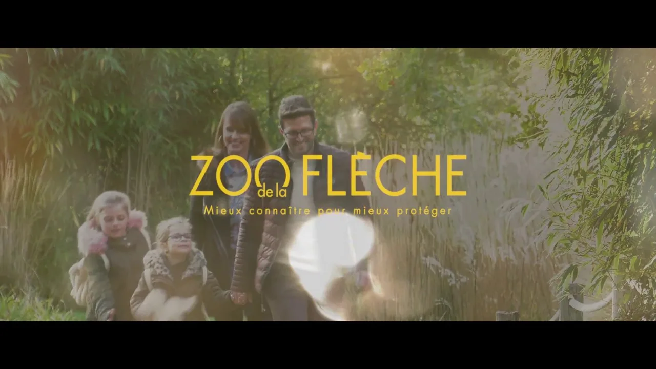plongez dans un halloween mexicain envoûtant au zoo de la flèche : mystères, légendes et lémuriens au rendez vous !